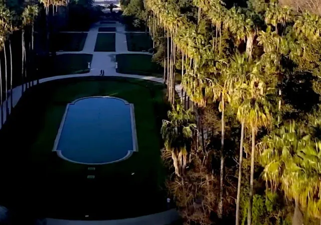Vue aérienne du bassin et des palmiers du jardin d’essai d’Alger