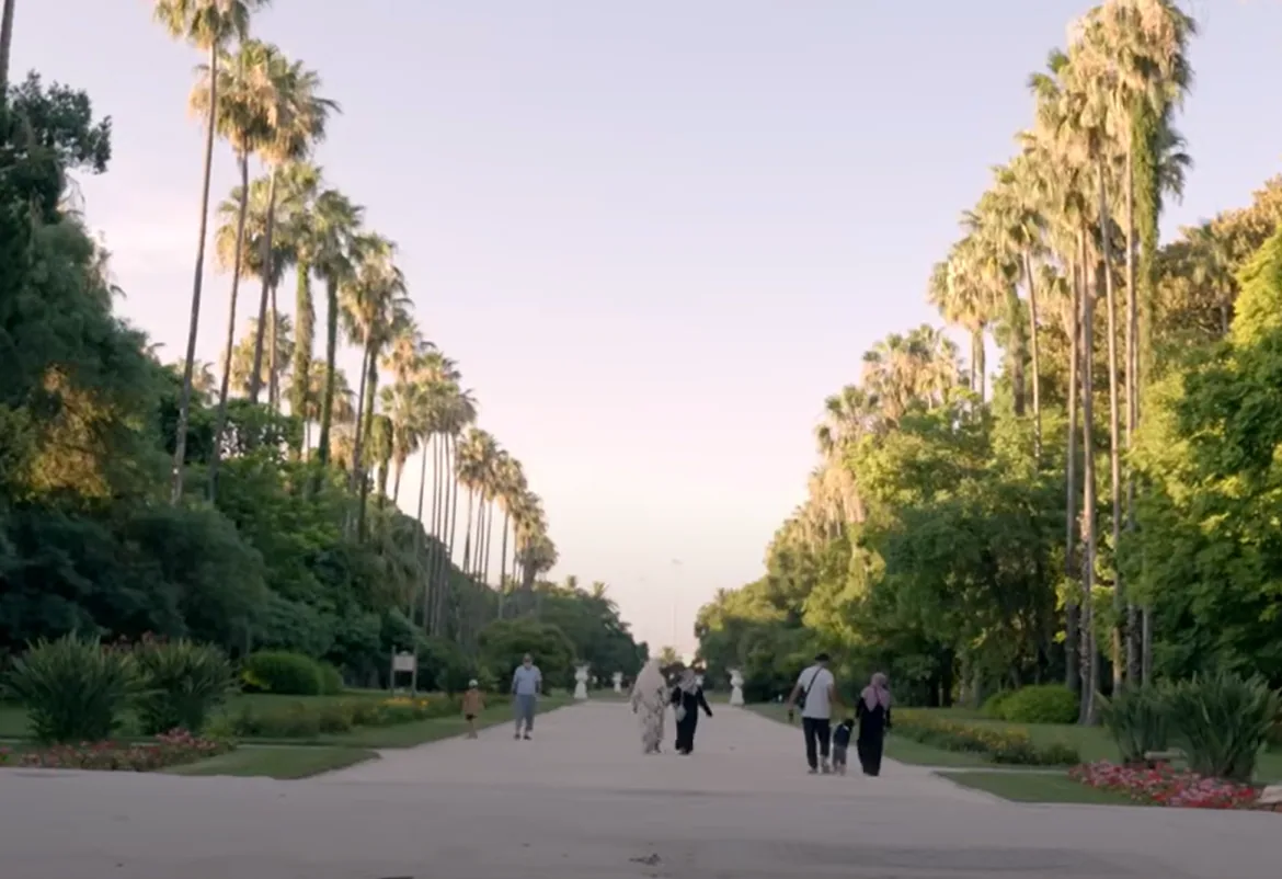 Promenade entre les palmiers du jardin d’essai d’Alger